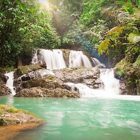 Naguala Jungle Lodge Drake Bay Bagian luar foto